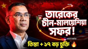 Newspaper: 'Tista mega project under discussion with China'