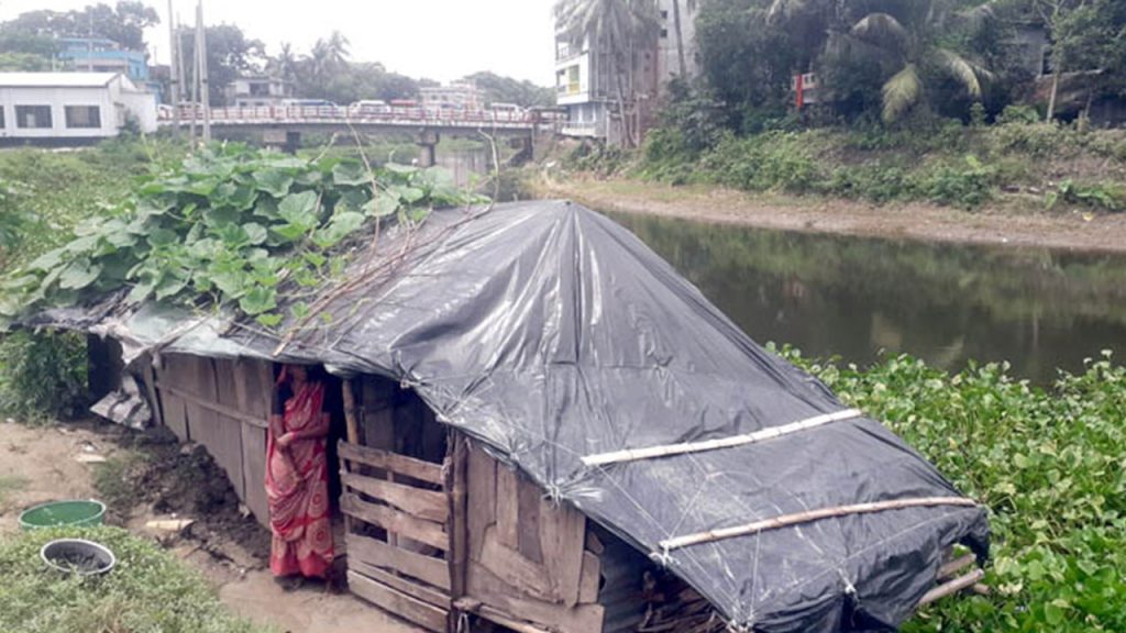 পোকামাকড়ের সঙ্গে খুপরি ঘরে বসবাস করছেন জোহরা দম্পতি