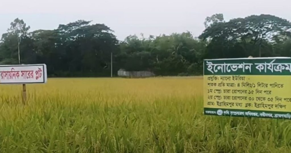 খরচ ও ভর্তুকি কমাতে ন্যানো সারের দিকে ঝুঁকছে সরকার