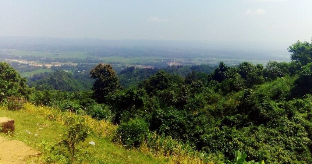 খাগড়াছড়িতে ২৪টি গুইসাপ উদ্ধার, এক নারী আটক