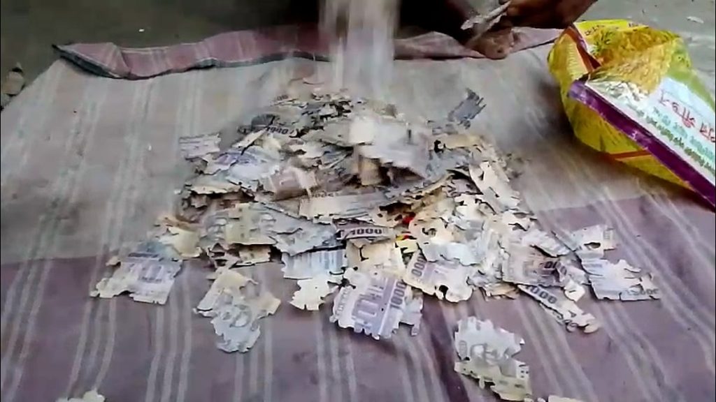 কৃষকের জমানো দুই লাখ টাকা কেটে খেল ইঁদুর-উইপোকা