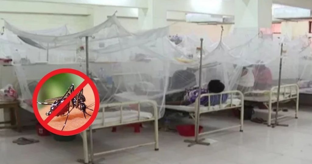 ডেঙ্গুতে আরও ২ জনের মৃত্যু, নতুন ভর্তি ৪২৩