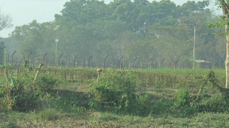 ঝিনাইদহে বিএসএফের গুলিতে বাংলাদেশি যুবক আহত
