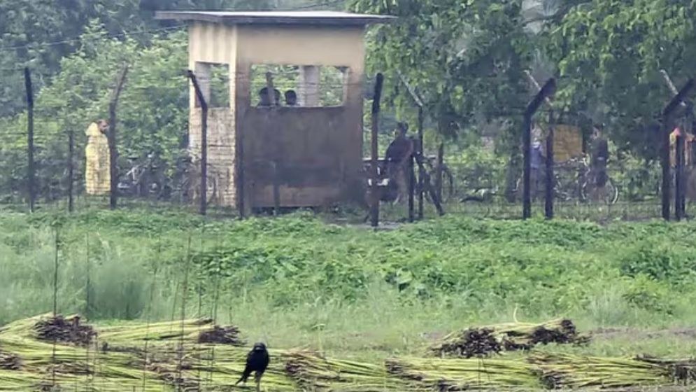 মেহেরপুরে এক বাংলাদেশিকে ধরে নিয়ে যাওয়ার ঘটনায় দুই ভারতীয় আটক