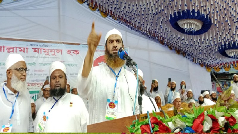 মামুনুল হক: সরকার পতন নয়, ফ্যাসিবাদ প্রতিরোধের আহ্বান