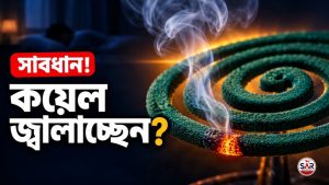 মশার কয়েল কি সিগারেটের চেয়েও ক্ষতিকর? নিরাপদে ব্যবহারের উপায়